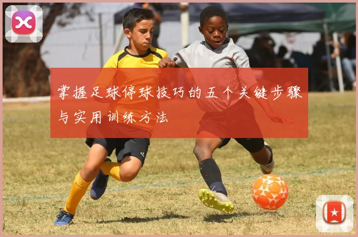 掌握足球停球技巧的五个关键步骤与实用训练方法