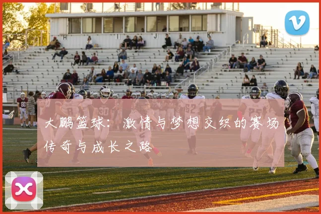 大鹏篮球：激情与梦想交织的赛场传奇与成长之路