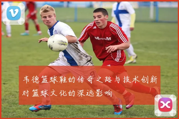 韦德篮球鞋的传奇之路与技术创新对篮球文化的深远影响