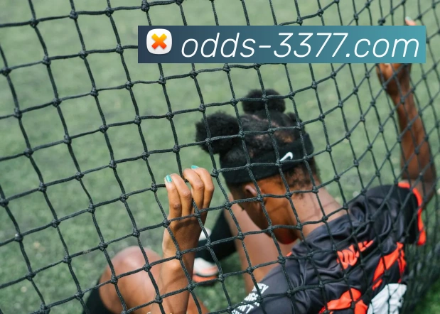 选择适合自己的篮球类型和品牌让你在球场上更自信更出色